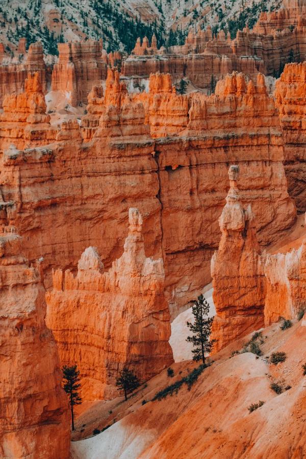 Wander Camp Bryce Canyon - Escalante Cannonville Kültér fotó